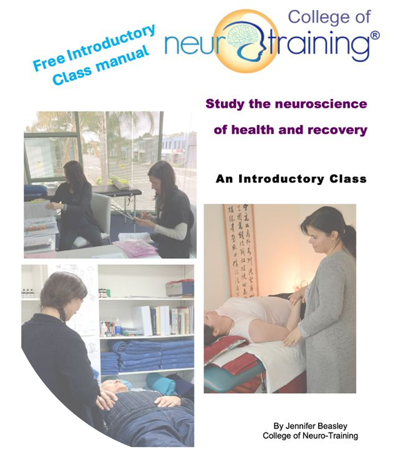 Study In The College Of Neuro Training